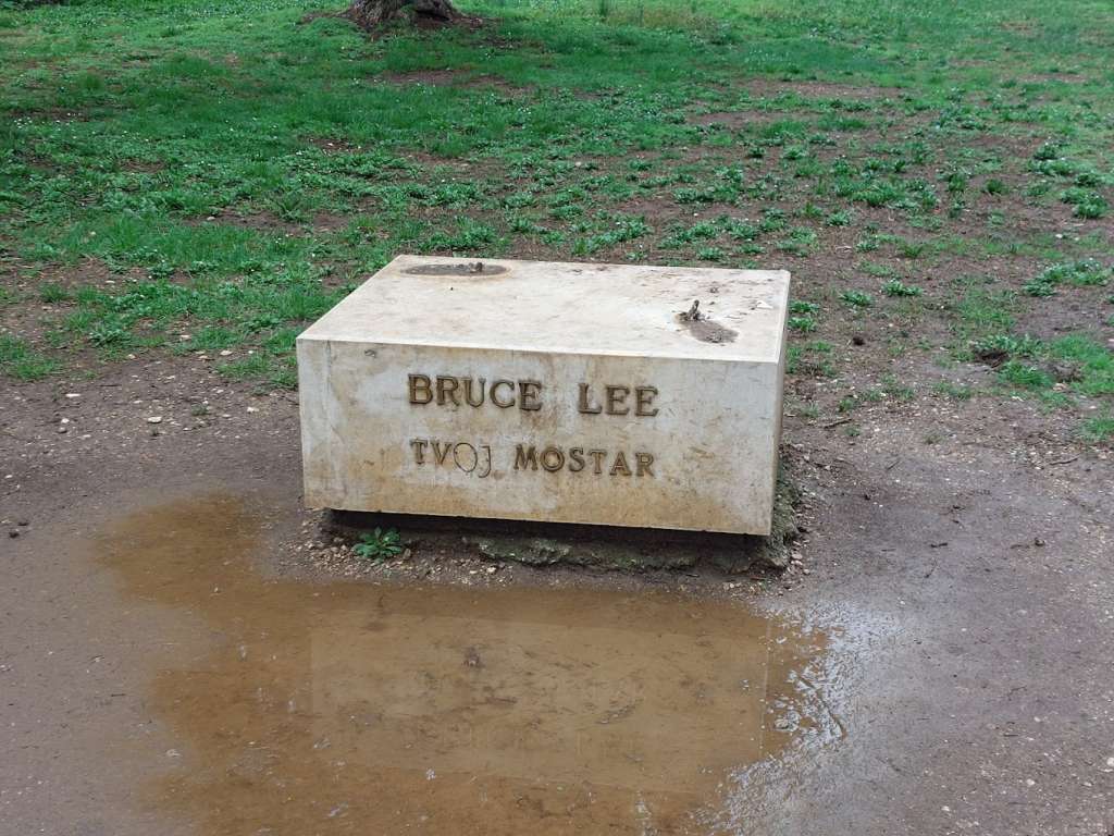 Dragan Markovina: Zbogom Bruce Lee