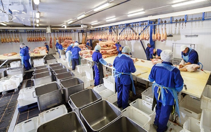 Doveli preko 900 radnika u mesnu industriju koji su radili za 8 maraka po satu