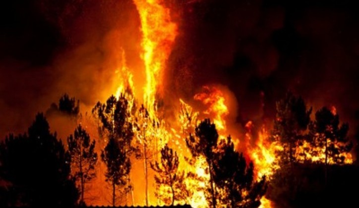 Evakuisano na hiljade ljudi: Širi se šumski požar u sjevernoj Kaliforniji