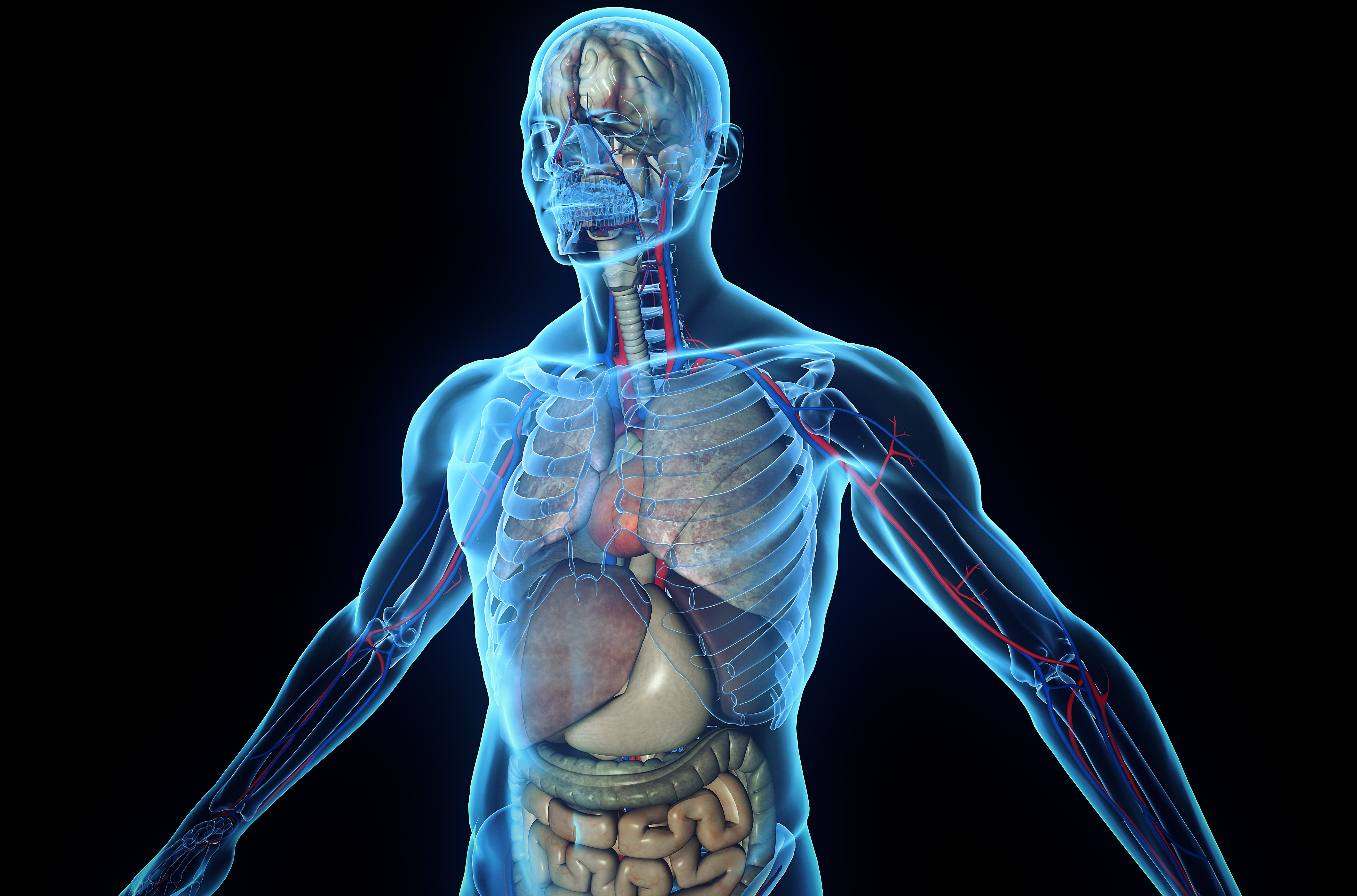 Važna promjena u medicini, priznat ‘novi‘ ljudski organ